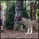 Der Zoowärter : photo Frank Coraci, Kevin James