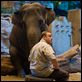 Der Zoowärter : photo Frank Coraci, Kevin James