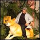Der Zoowärter : photo Frank Coraci, Kevin James