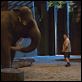 Der Zoowärter : photo Frank Coraci, Kevin James