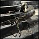 Game of Thrones – Das Lied von Eis und Feuer