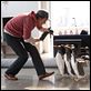 Mr. Poppers Pinguine : photo Jim Carrey, Mark Waters