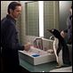 Mr. Poppers Pinguine : photo Jim Carrey, Mark Waters