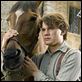 Gefährten : photo Jeremy Irvine, Steven Spielberg