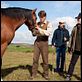 Gefährten : photo Benedict Cumberbatch, Patrick Kennedy, Steven Spielberg, Tom Hiddleston