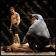 Warrior : photo Gavin O'Connor, Tom Hardy