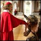Die drei Musketiere : photo Christoph Waltz, Milla Jovovich, Paul W.S. Anderson