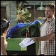 Hart Of Dixie : photo Rachel Bilson, Wilson Bethel