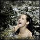 Twilight 4: Breaking Dawn - Bis(s) zum Ende der Nacht (Teil 1) : photo Bill Condon