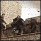 Ironclad - Bis zum letzten Krieger : photo James Purefoy, Jonathan English