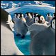 Happy Feet 2 : photo George Miller