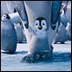 Happy Feet 2 : photo George Miller