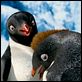 Happy Feet 2 : photo George Miller