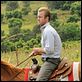 Hawaii Five-0