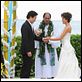 Hawaii Five-0