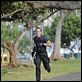 Hawaii Five-0