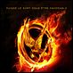 Die Tribute von Panem - Tödliche Spiele : poster Gary Ross
