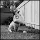 Frankenweenie : photo Tim Burton