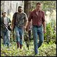 Straw Dogs - Wer Gewalt sät : photo Alexander Skarsgård