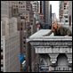 Ein riskanter Plan : photo Elizabeth Banks, Jamie Bell