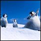 Happy Feet 2 : photo George Miller