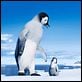 Happy Feet 2 : photo George Miller