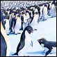 Happy Feet 2 : photo George Miller