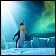 Happy Feet 2 : photo George Miller