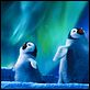 Happy Feet 2 : photo George Miller
