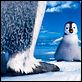 Happy Feet 2 : photo George Miller