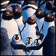 Happy Feet 2 : photo George Miller