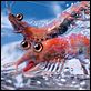 Happy Feet 2 : photo George Miller