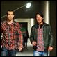 Safe House : photo Daniel Espinosa, Ryan Reynolds