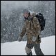 The Grey - Unter Wölfen : photo Dermot Mulroney, Joe Carnahan, Liam Neeson