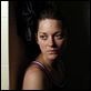 Rust and Bone : photo
