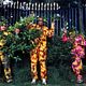 Foto - FILM - Ali G in da House : 43232