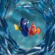 Findet Nemo