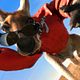 Kangaroo Jack