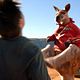 Kangaroo Jack