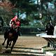 Seabiscuit : photo