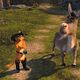Shrek 2 - Der tollkühne Held kehrt zurück