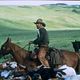 Open Range