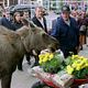 Willkommen in Mooseport