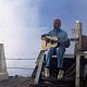 Die Tiefseetaucher : photo Seu Jorge, Wes Anderson
