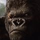King Kong