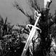 Die Ritter der Tafelrunde : photo Richard Thorpe