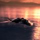 Foto - FILM - Stealth - Unter dem Radar : 53880