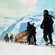 Wolfsblut : photo Ethan Hawke, Klaus Maria Brandauer, Randal Kleiser, Seymour Cassel
