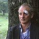 Broken Flowers