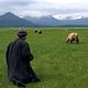 Grizzly Man
